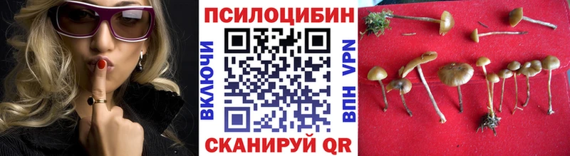 kraken tor  Озёры  Галлюциногенные грибы GOLDEN TEACHER  дарнет шоп 